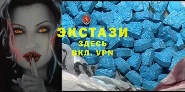стаф Алзамай